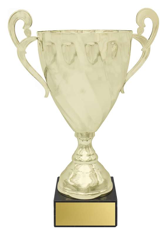 Fidelity Cup – Gold