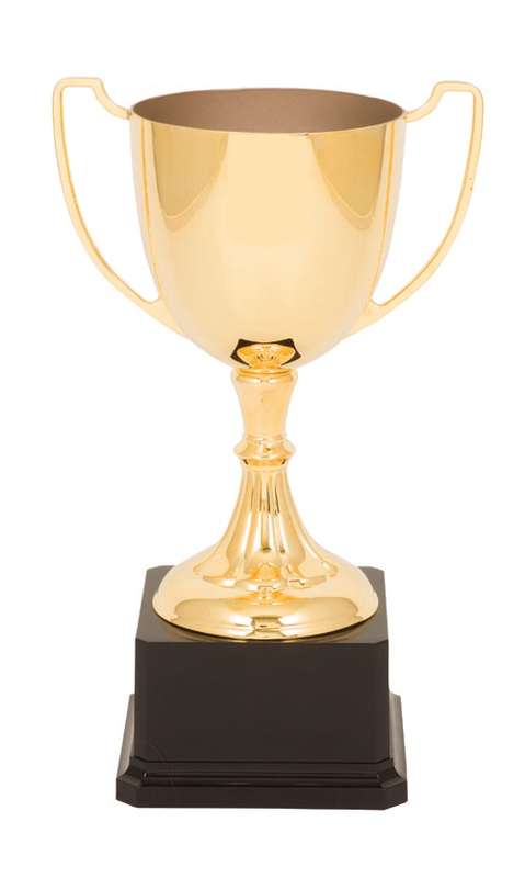 DISCONTINUED – Winchester – Gold Plated Engravable