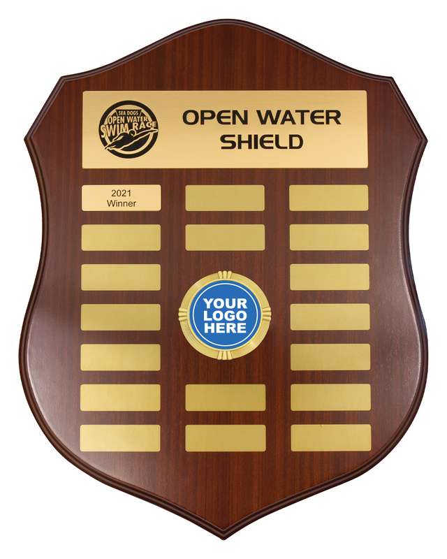 Capital Logo Shield