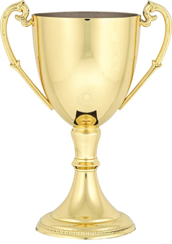 Gold Metal Cup