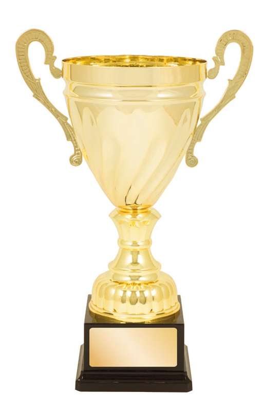 DISCONTINUED – Metal Cup Trophy