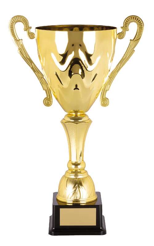 DISCONTINUED – Metal Cup Trophy
