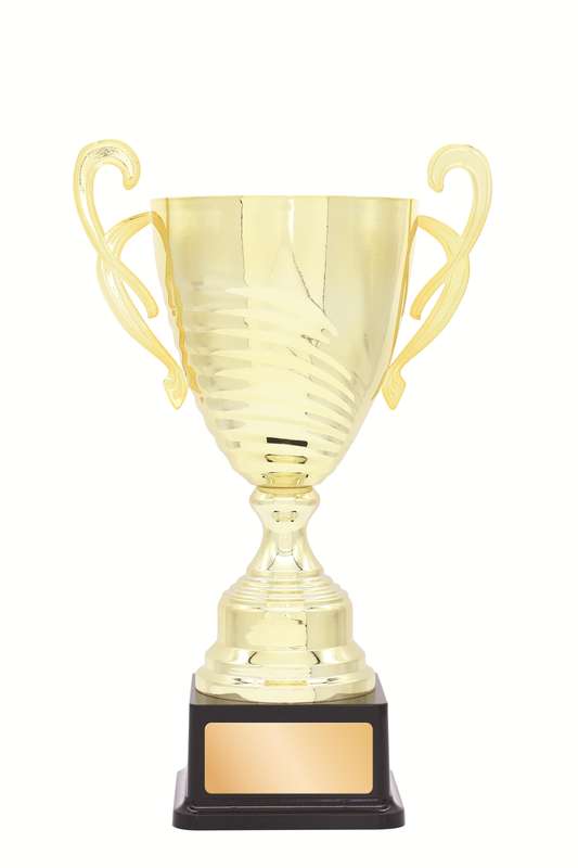 Metal Cup Trophy