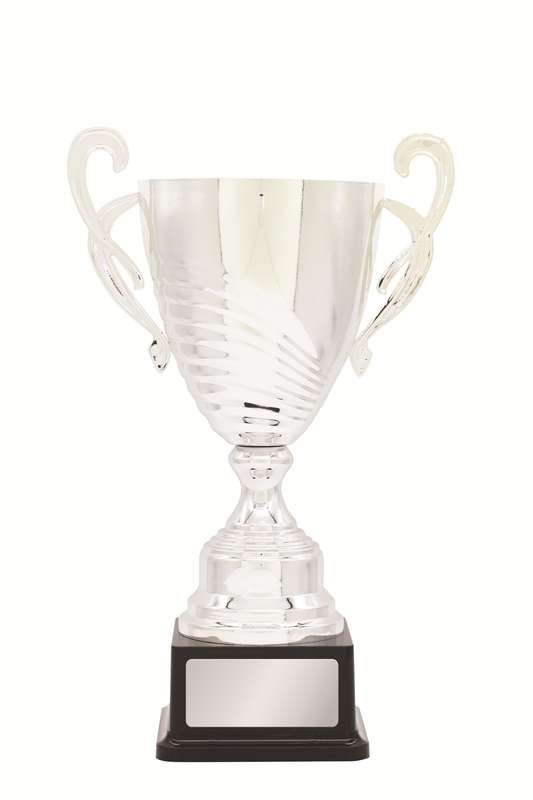 Metal Cup Trophy