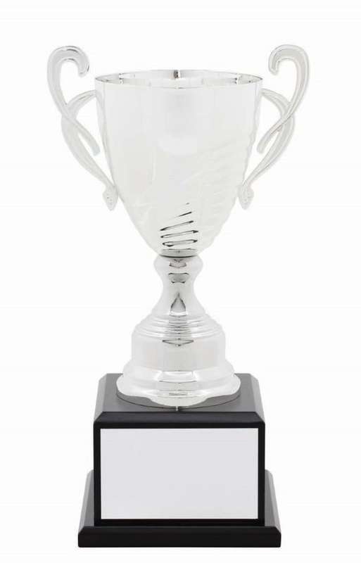 Metal Cup Trophy