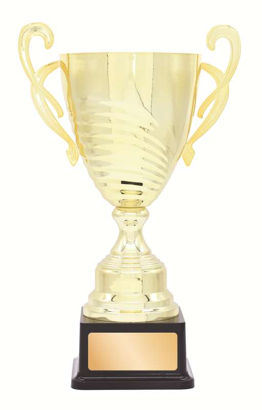 DISCONTINUED – Metal Cup Trophy