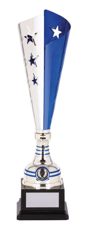 Metal Cup Trophy – 25mm Insert