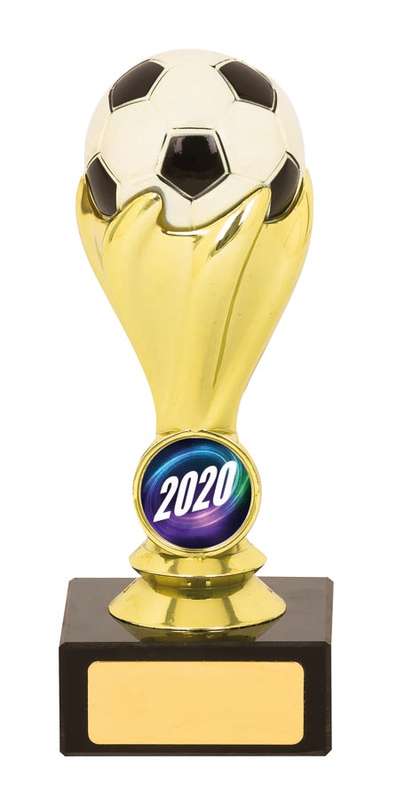 Soccer Cup Trophy – 25mm Insert