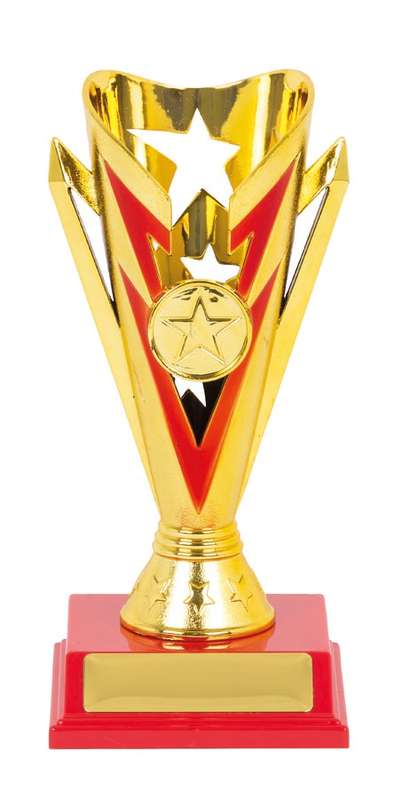 Flash Cup Sport Trophy – 25mm Insert