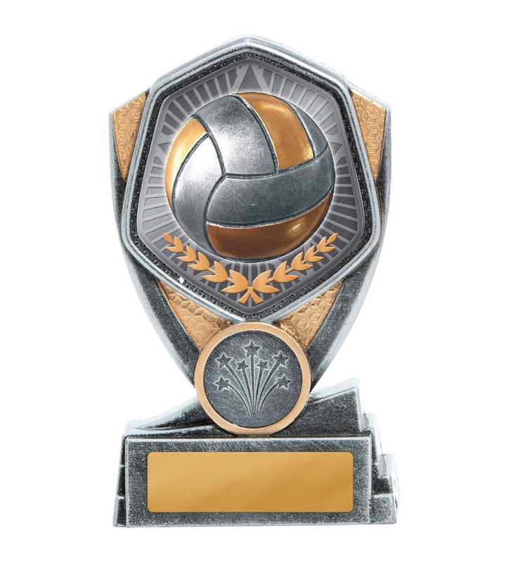 Hero Series-Volleyball
