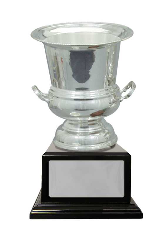 Silver Plated Cup