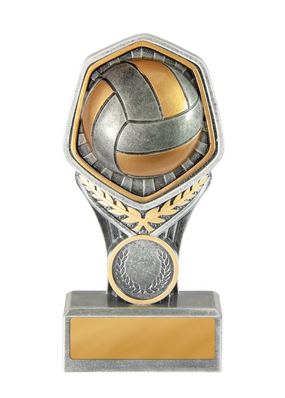 Volleyball Trophy 240mm