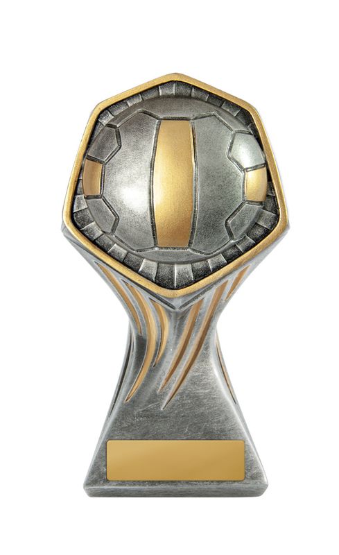 Netball Trophy 200mm