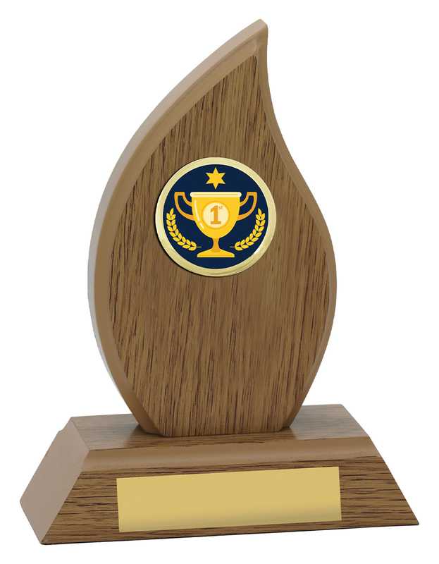Flame – 1st Place
