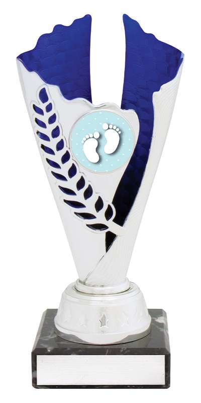 Spirit Cups – Silver / Blue