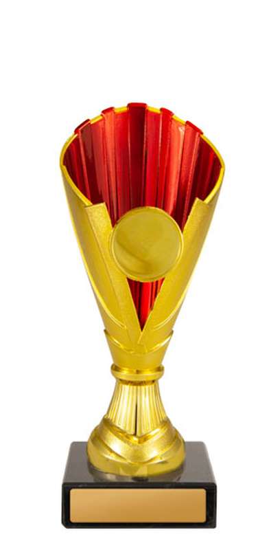 Norwood Cup