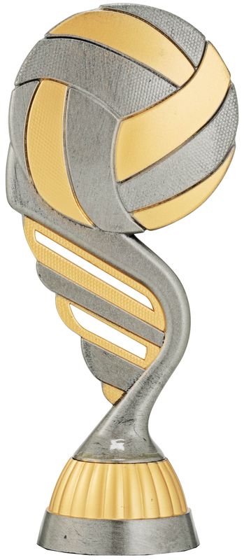 Volleyball Silver