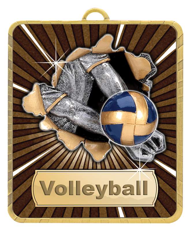 Gold Lynx Medal – Volleyball