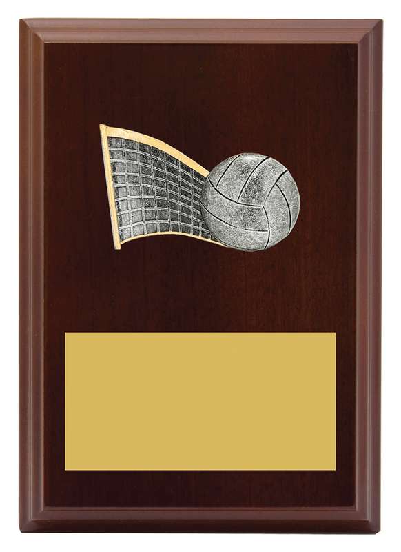 Peak Plaque Volleyball