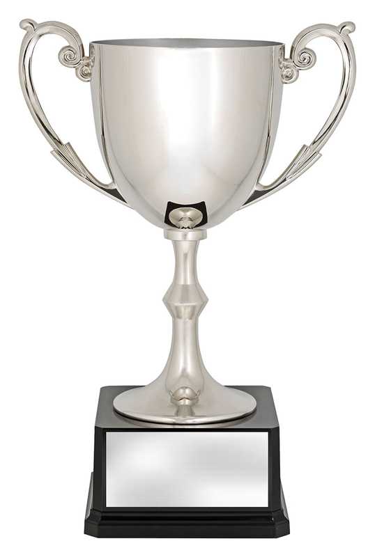 Recognition Cups