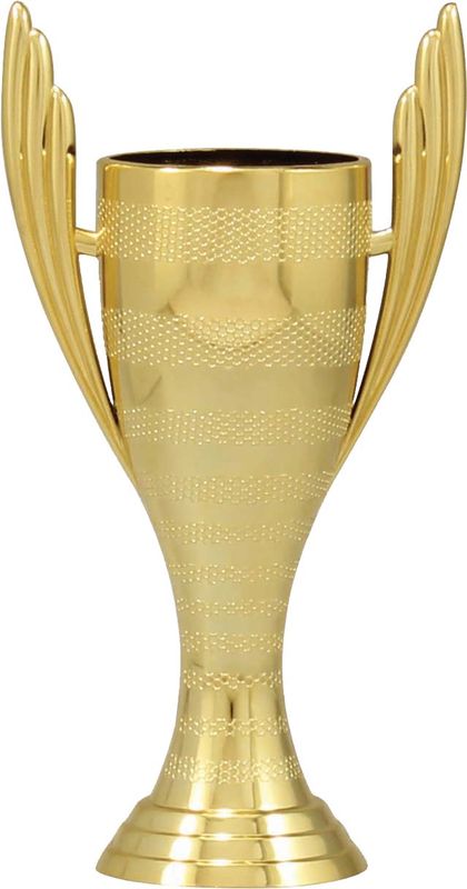 Guardian Cup