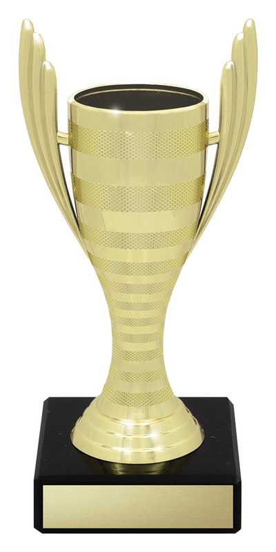Guardian Cups