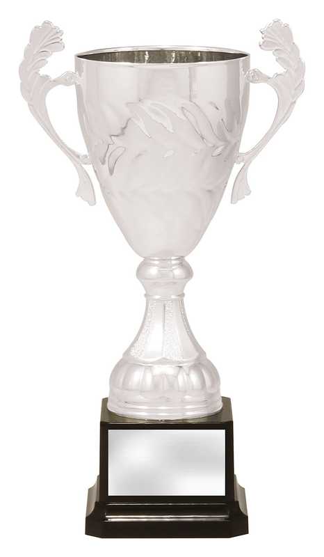 Silver Eternal Cups