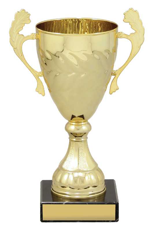 Gold Eternal Cups