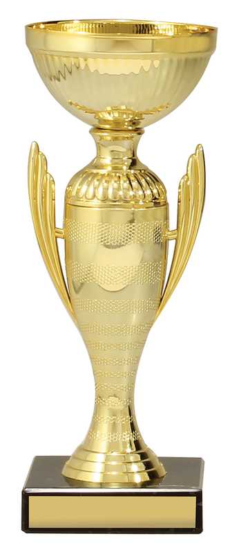Guardian Cup