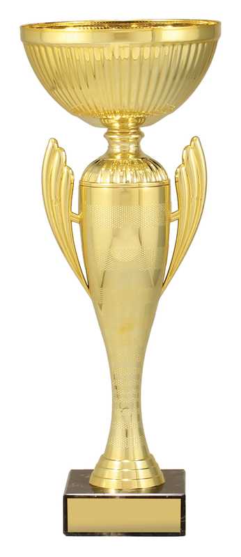 Guardian Cup