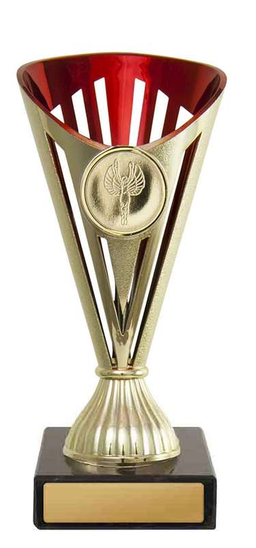 Fan Cup