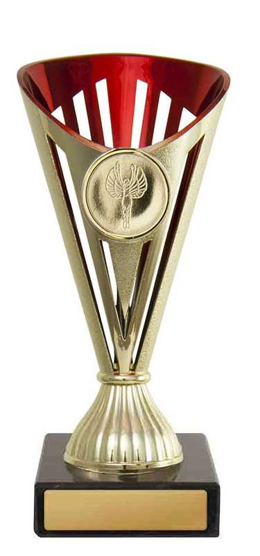 Fan Cup