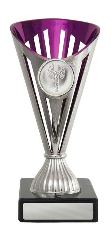 Fan Cup