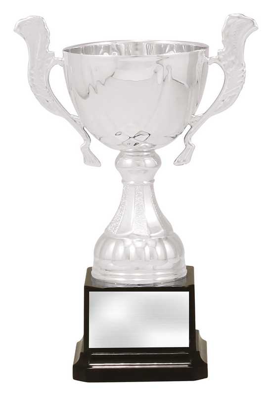 Silver Turin
